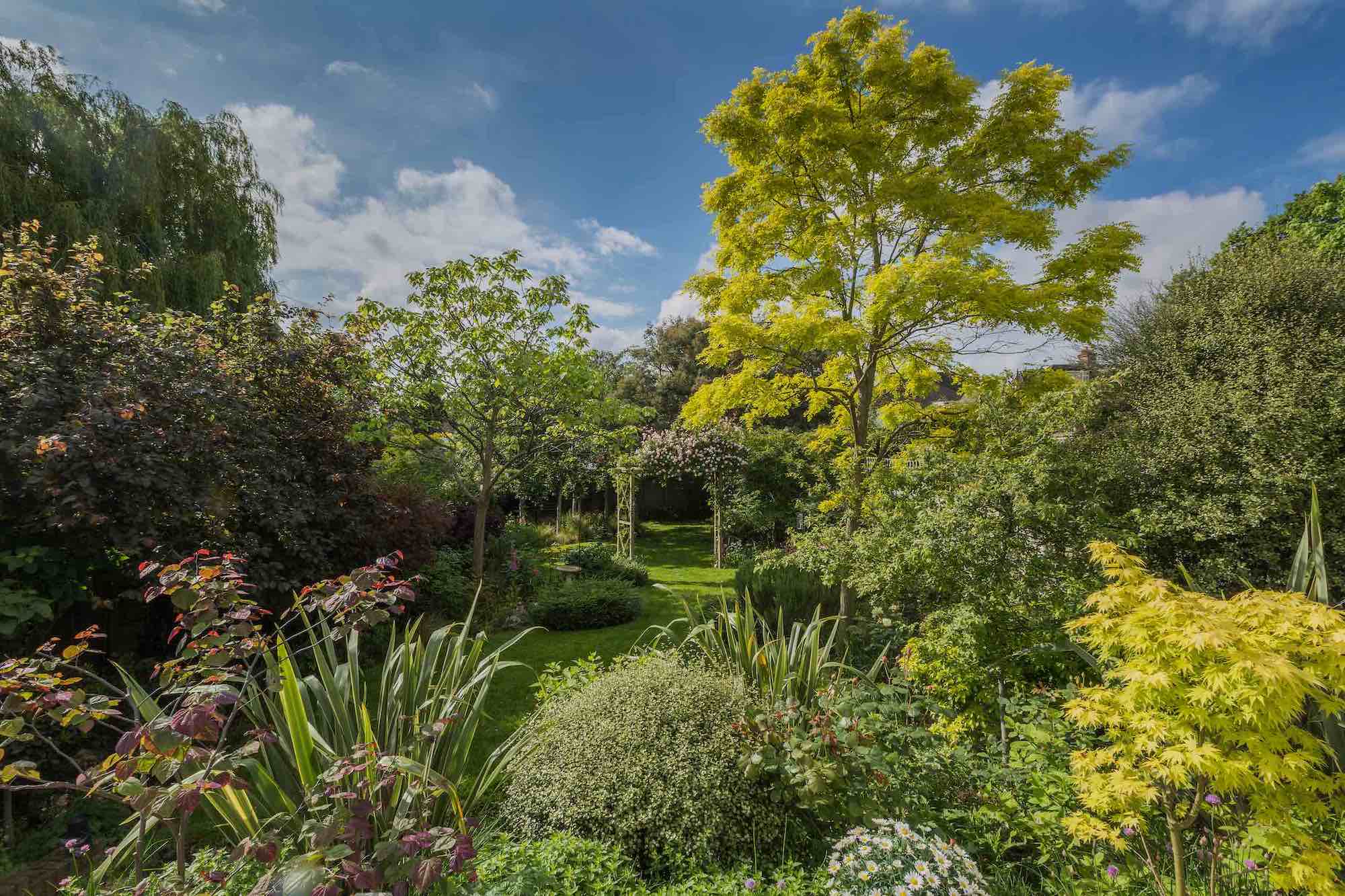 beautiful-garden-north-west-london-1